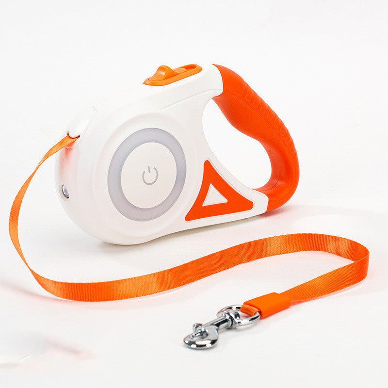 Best Dog Leash and Collar Retractable Leash With Build-in Torch