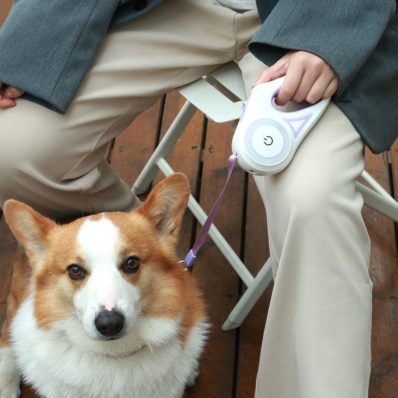 Best Dog Leash and Collar Retractable Leash With Build-in Torch