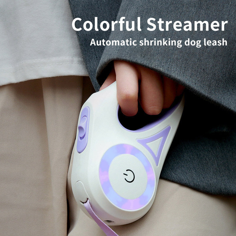 Best Dog Leash and Collar Retractable Leash With Build-in Torch