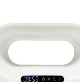 Multi-function Wireless Charger