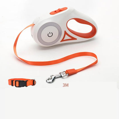 best dog leash with collar orange