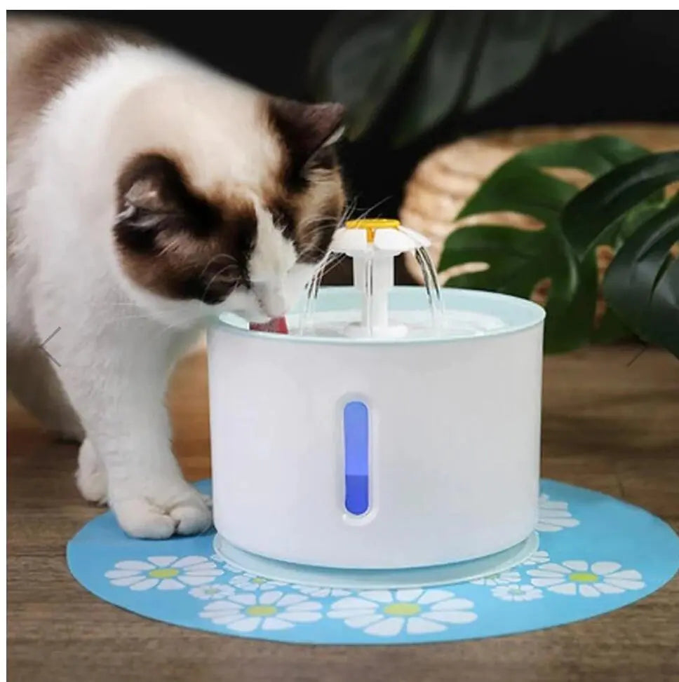 USB powered cat water fountain