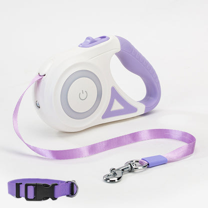 best dog leash with collar purple