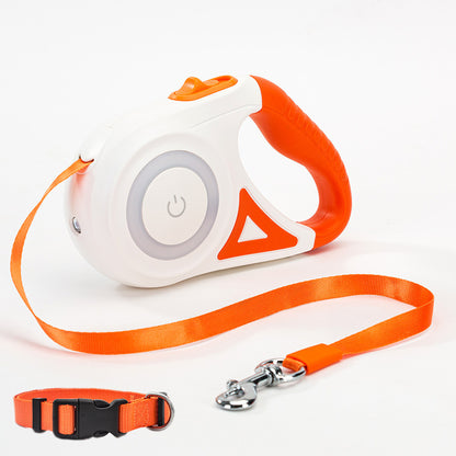 best ddog leash with collar orange